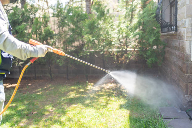 Best Lawn Pest Control  in Thornwood, NY